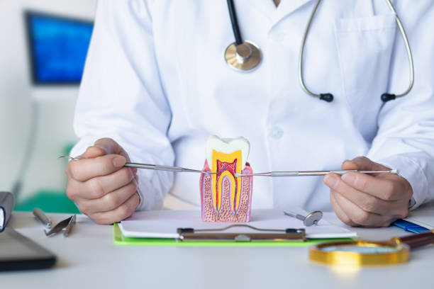 Best Emergency Dental Care for Broken or Chipped Teeth in Forestbrook, SC
